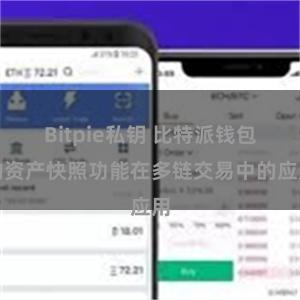 Bitpie私钥 比特派钱包的资产快照功能在多链交易中的应用